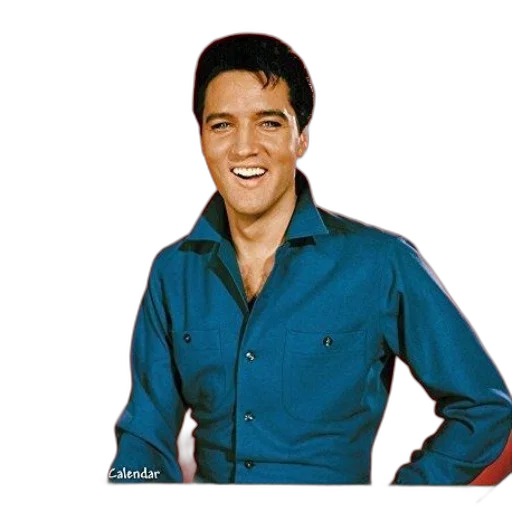 jacket, face, animal, hair transparent PNG cut-out