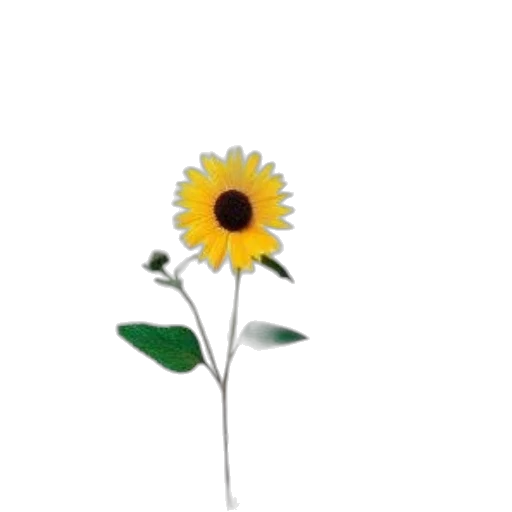 flower, staff, crown, weapon transparent PNG cut-out