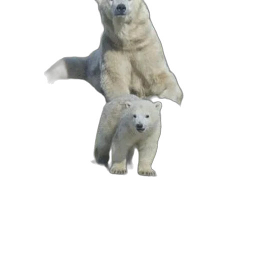 animal, creature, staff, weapon transparent PNG cut-out