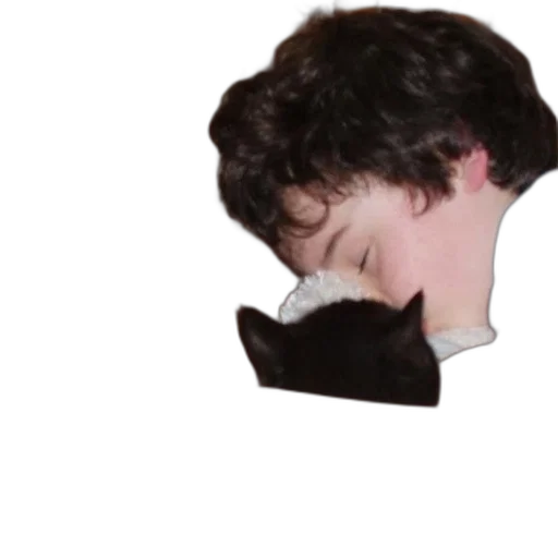 mask, face, animal, creature transparent PNG cut-out