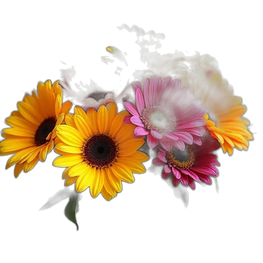 flower, crown, jewelry, photorealistic transparent PNG cut-out