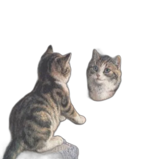 face, animal, creature, shoes transparent PNG cut-out
