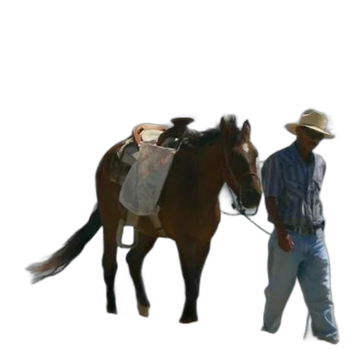hat, staff, animal, weapon transparent PNG cut-out