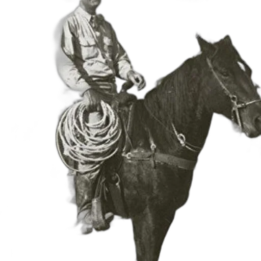 staff, animal, jacket, hat transparent PNG cut-out