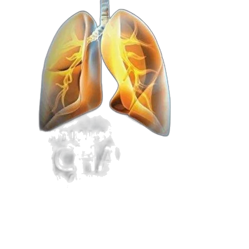mask, photorealistic, essentials, mechanical transparent PNG cut-out