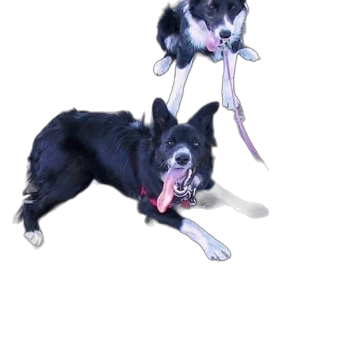 animal, staff, creature, 3d render transparent PNG cut-out