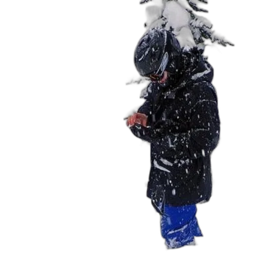 jacket, animal, hat, creature transparent PNG cut-out