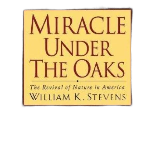 miracle, under, oaks, revival transparent PNG cut-out