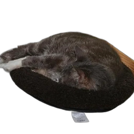 hat, furniture, shoes, staff transparent PNG cut-out