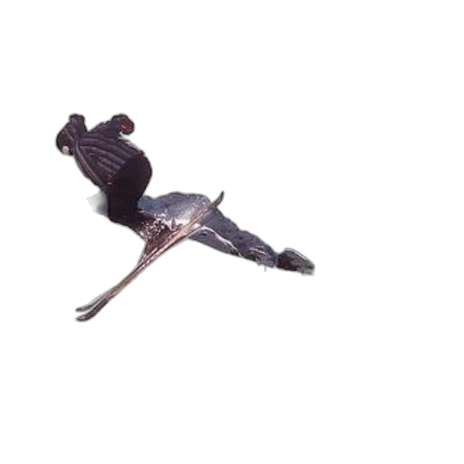animal, staff, shoes, umbrella transparent PNG cut-out