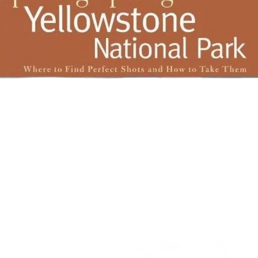 earth tones, golden, book, cover transparent PNG cut-out