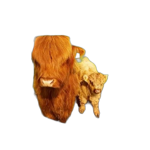 furniture, animal, crown, mask transparent PNG cut-out