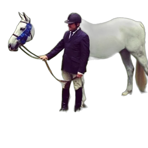 staff, animal, weapon, sword transparent PNG cut-out