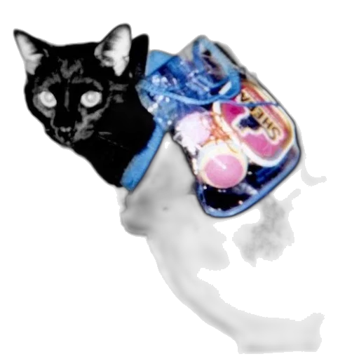 jewelry, food, animal, creature transparent PNG cut-out