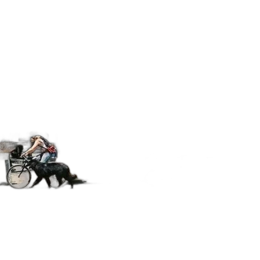 car, robot, furniture, animal transparent PNG cut-out