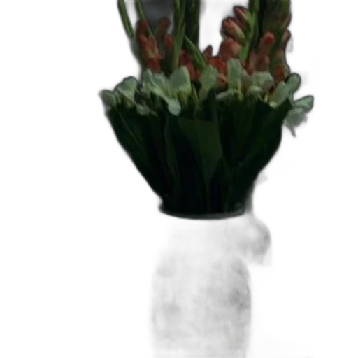 flower, crown, staff, hat transparent PNG cut-out