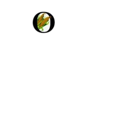 dragon, animal, food, staff transparent PNG cut-out