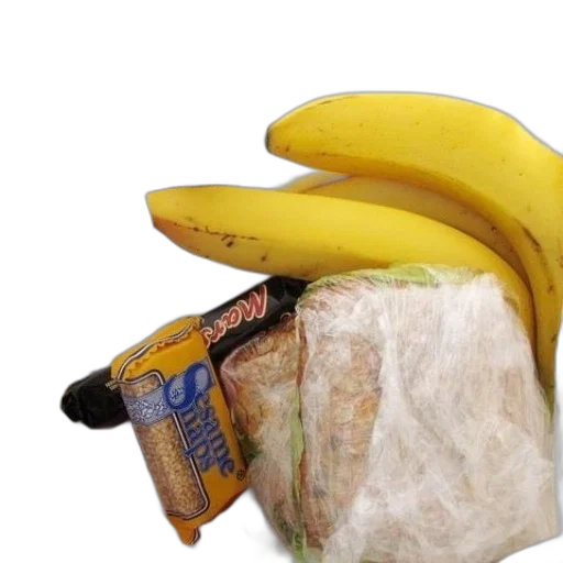 food, jacket, hat, animal transparent PNG cut-out