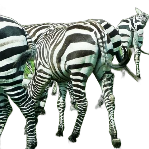 animal, creature, concept art, 3d render transparent PNG cut-out
