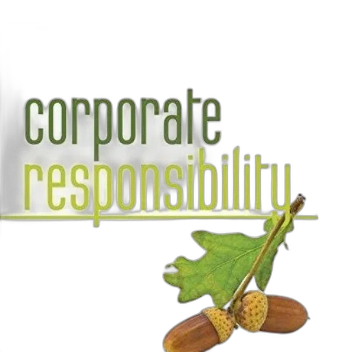 corporate, responsibility, book, cover transparent PNG cut-out