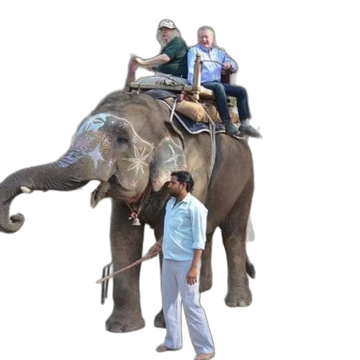 animal, staff, creature, umbrella transparent PNG cut-out