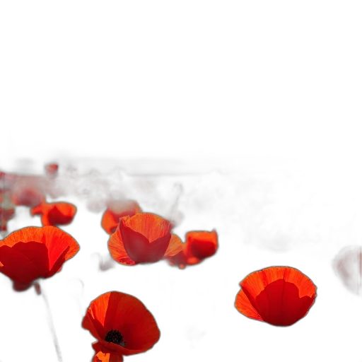flower, weapon, 3d render, photorealistic transparent PNG cut-out