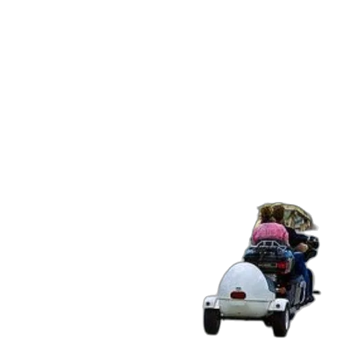 car, robot, hair, animal transparent PNG cut-out