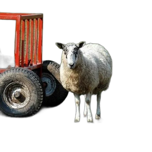 animal, furniture, car, weapon transparent PNG cut-out