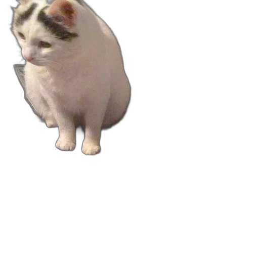 animal, creature, staff, robot transparent PNG cut-out