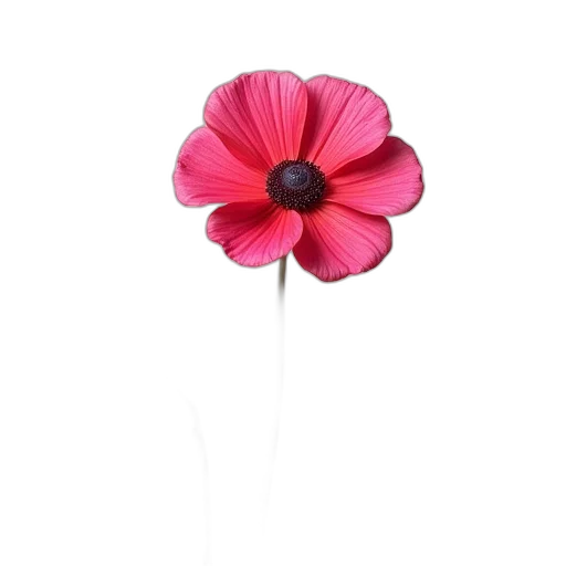 flower, hat, crown, staff transparent PNG cut-out