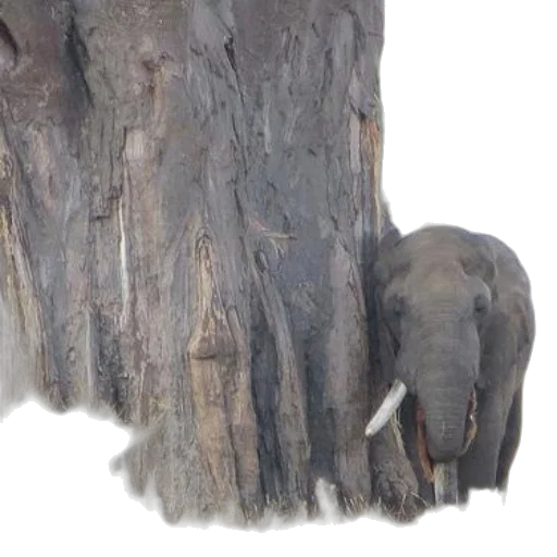 tree, animal, staff, creature transparent PNG cut-out