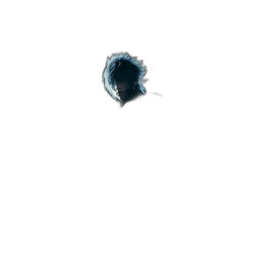 hair, face, crown, creature transparent PNG cut-out