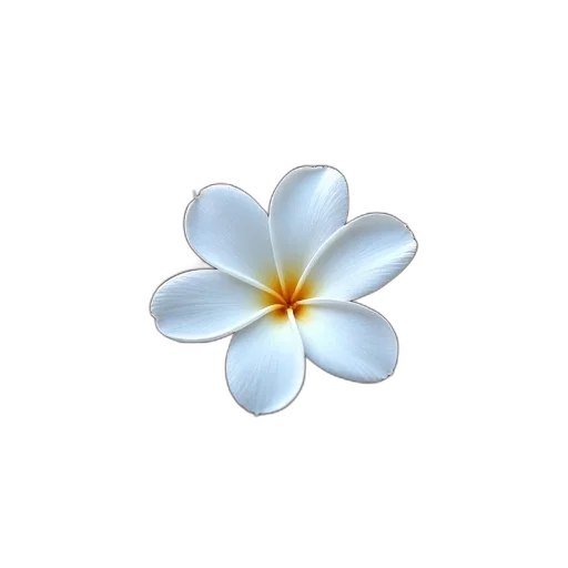flower, jewelry, crown, staff transparent PNG cut-out