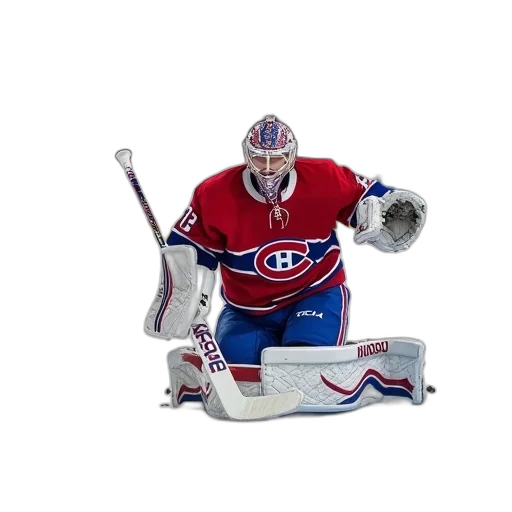 animal, mask, weapon, canadiens transparent PNG cut-out