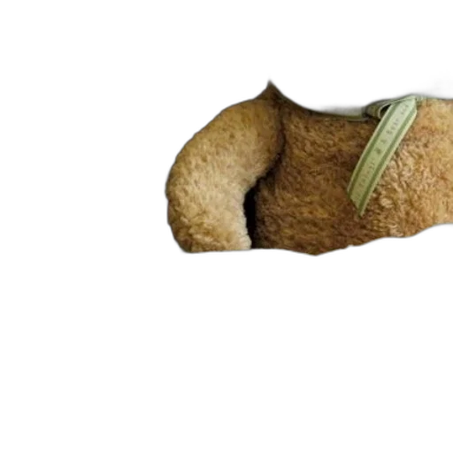 shoes, food, hat, animal transparent PNG cut-out