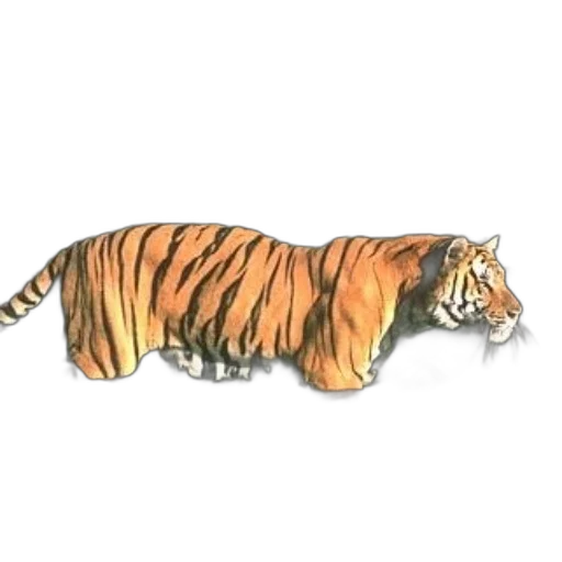 animal, creature, staff, weapon transparent PNG cut-out