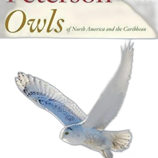 book, cover, featuring, snowy transparent PNG cut-out