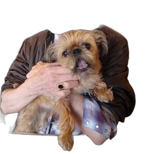 animal, creature, bottle, jacket transparent PNG cut-out