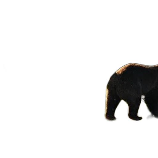 animal, creature, food, weapon transparent PNG cut-out