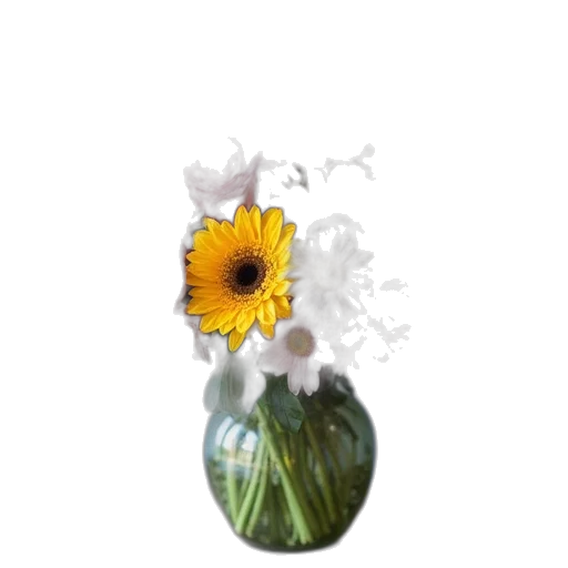 flower, bottle, crown, dress transparent PNG cut-out