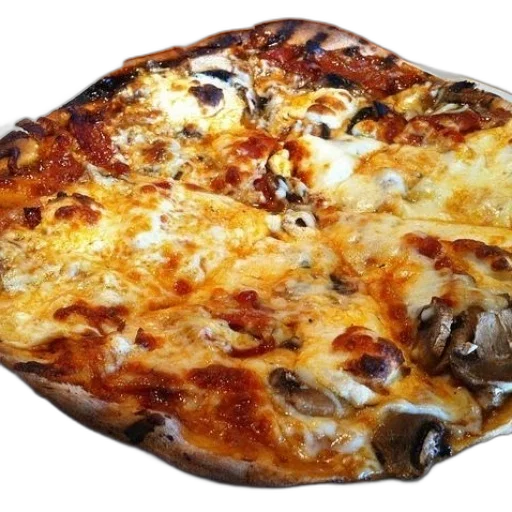 food, jacket, animal, face transparent PNG cut-out