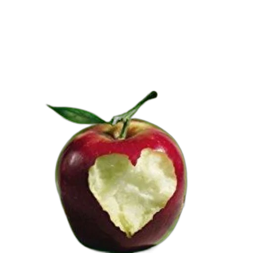 food, crown, jewelry, flower transparent PNG cut-out