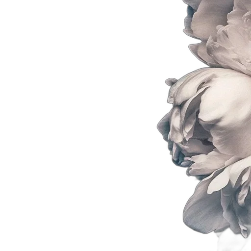 flower, crown, mask, dress transparent PNG cut-out