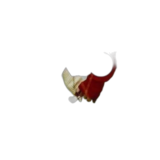 mask, shoes, food, dragon transparent PNG cut-out