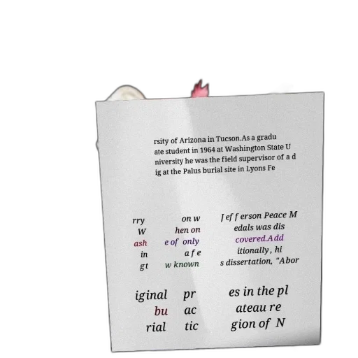 dress, umbrella, 3d render, text-heavy transparent PNG cut-out