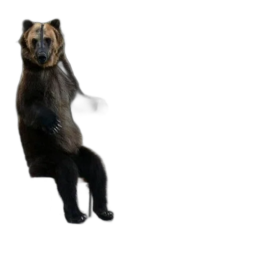 animal, creature, 3d render, concept art transparent PNG cut-out