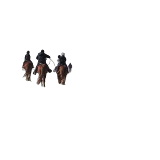 hat, staff, animal, weapon transparent PNG cut-out