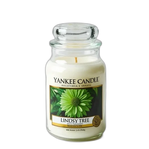yankee, candle, jar, clear transparent PNG cut-out