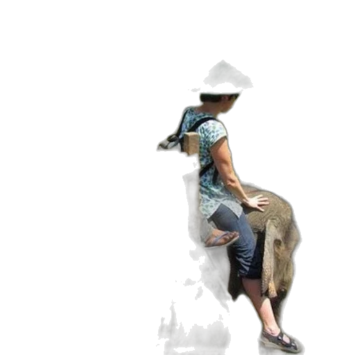 hat, animal, staff, weapon transparent PNG cut-out