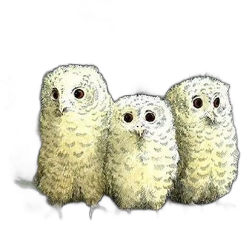 animal, staff, jewelry, photorealistic transparent PNG cut-out